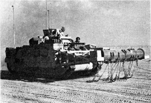 Matilda scorpion