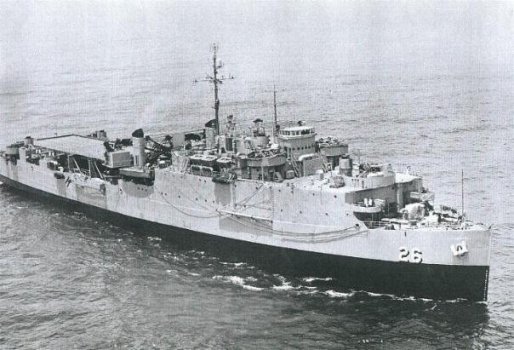 Tortuga LSD 26